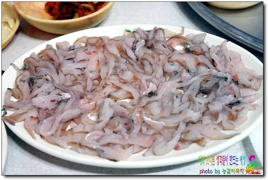 강구물회 이미지