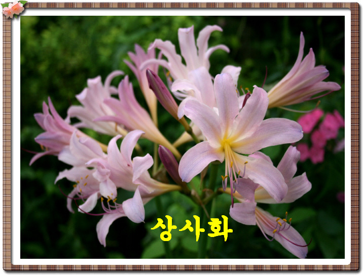 177F311F4A7E9A2BE6914D