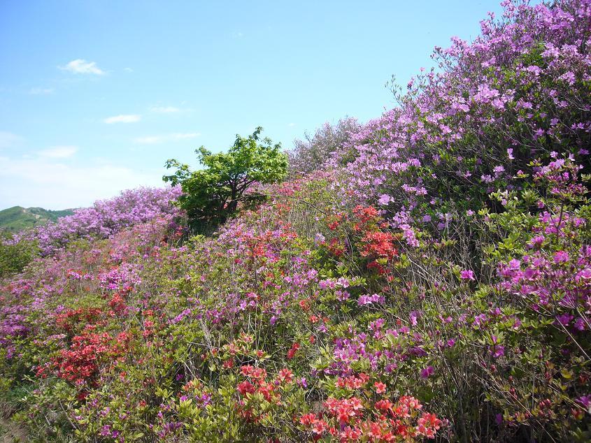 2007년 지리산 대종주