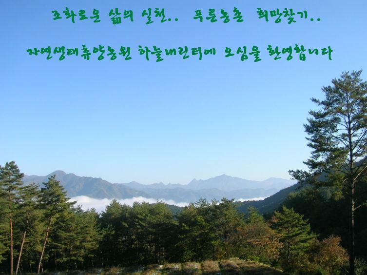 자연의터생태 이미지