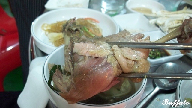 날마다 오리 이미지