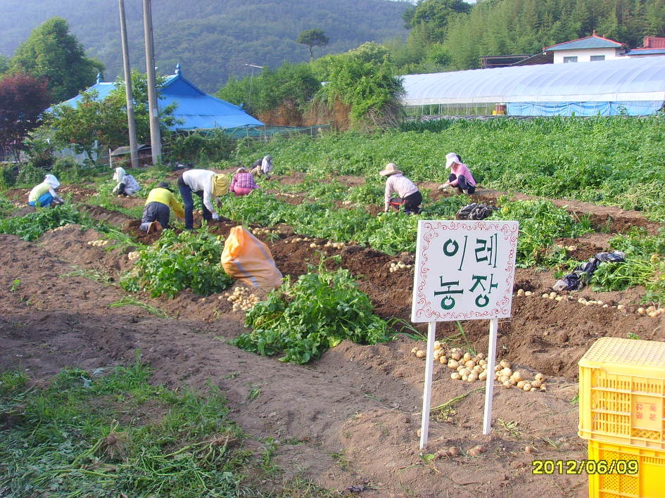 이레농장 이미지