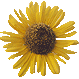 1849C41C4CB8E4371BE8A7