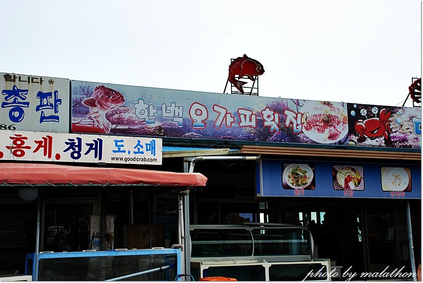 [울진]달빛과 어울린다는 솔숲의 향기로운  월송정 