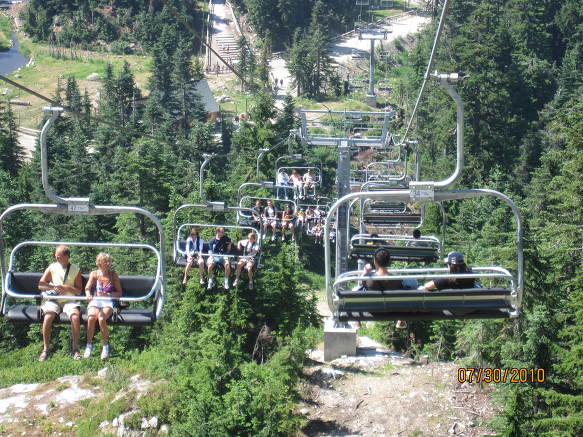 Grouse Mountain정상의 보호소에 있는 큰 야생곰 두마리