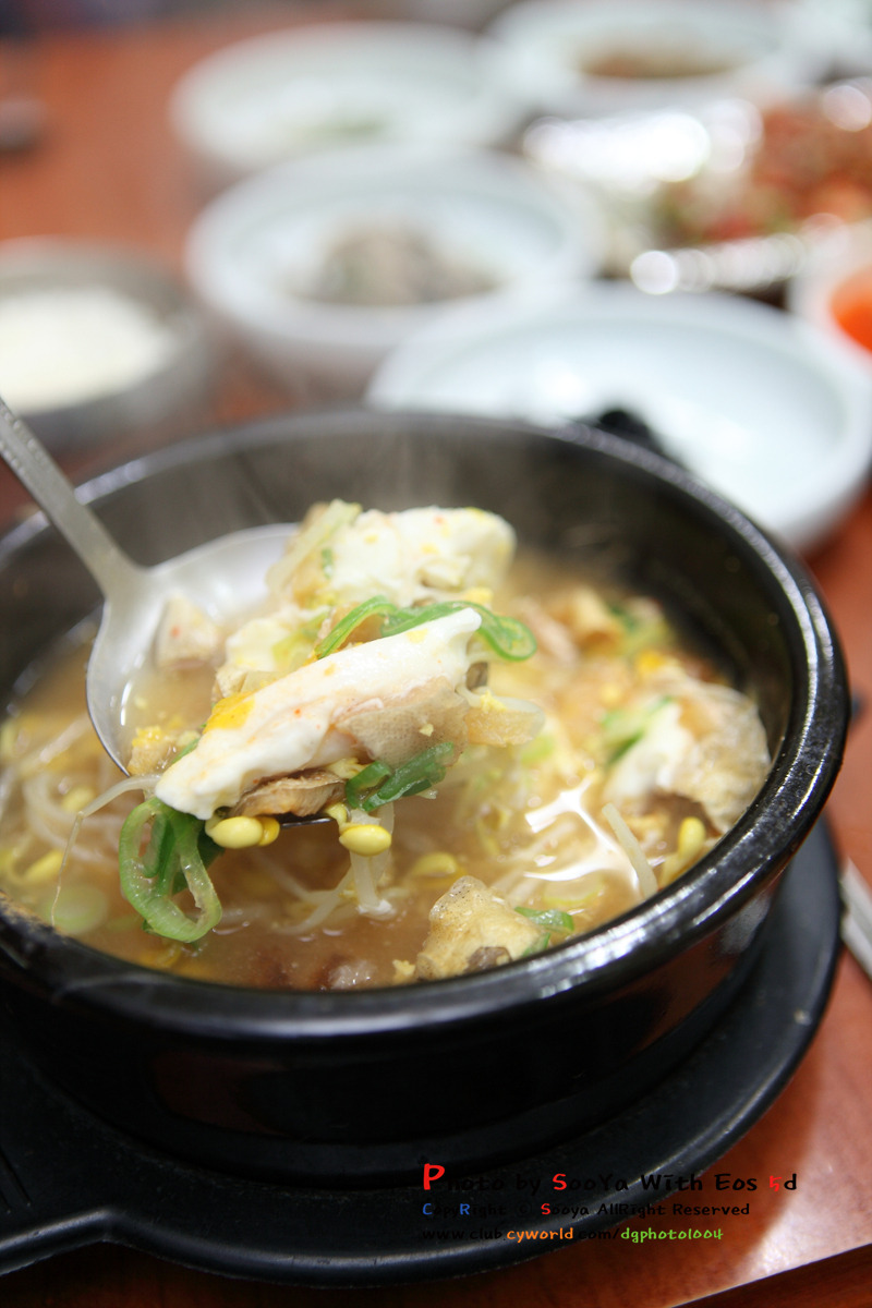 [대구맛집]상인동 -대관령황태해장국- | 네이트 판