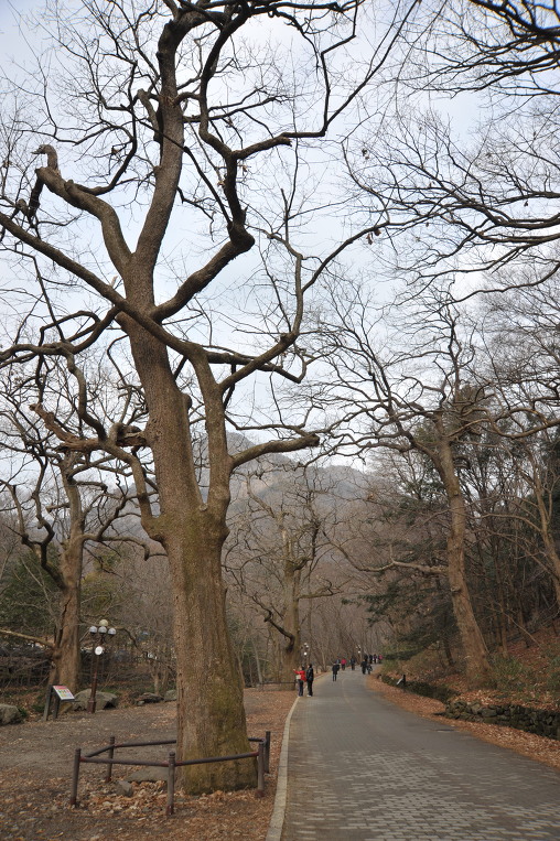 (주)가인 이미지