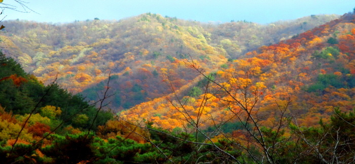 산에 대한 이미지 검색결과