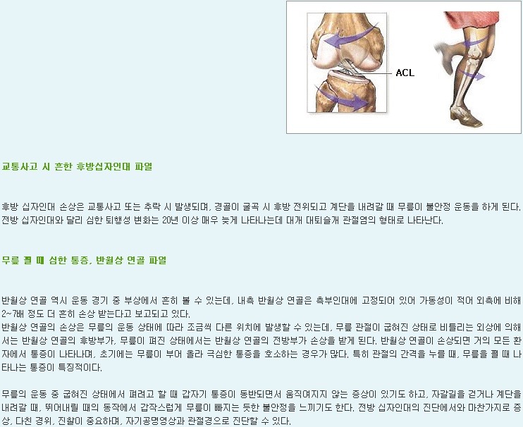 관절과 인대!!!