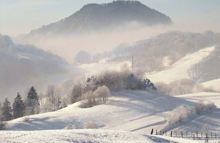 194996434FD52C6C1AAD4B