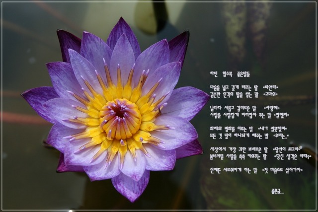 노래 듣기) The Way We Were - Barbra Streisand