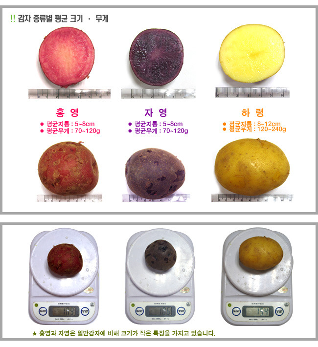 단비농원 이미지