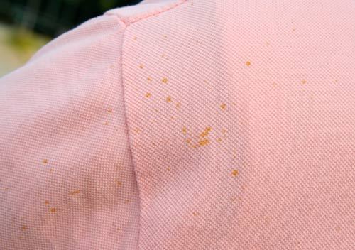 201C1B4E4D9F1B532384B7