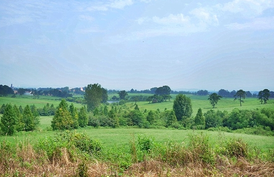 농진청 /축산자원개발부서 구제역 의심신고 비상  