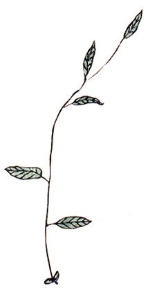다음카페 : 『가장 행복한 공부』
