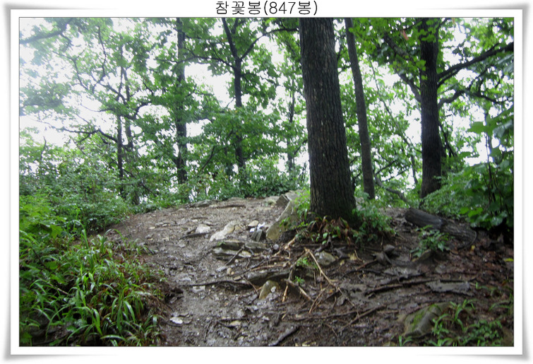 2042624D5039EEA52D444B