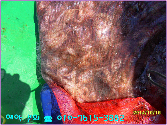 2114B440543FE74B1CFA56
