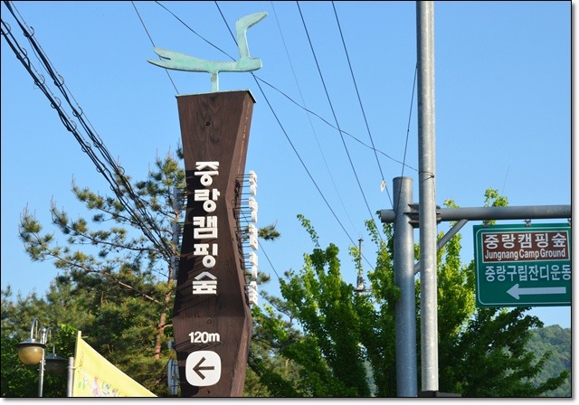 캠핑숲 이미지