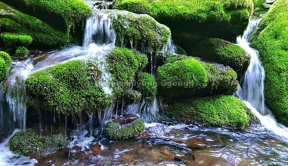 사진을 좋아라 한다면 꼭 가봐야할곳 