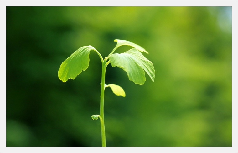 봄의 싱그러움이~~~