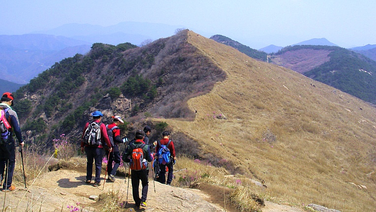 2201A541552905CB2F8091