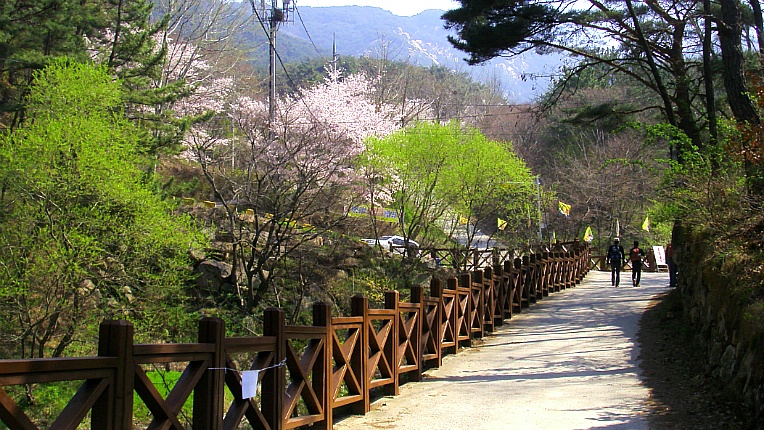 220F82415529051E1F23EF