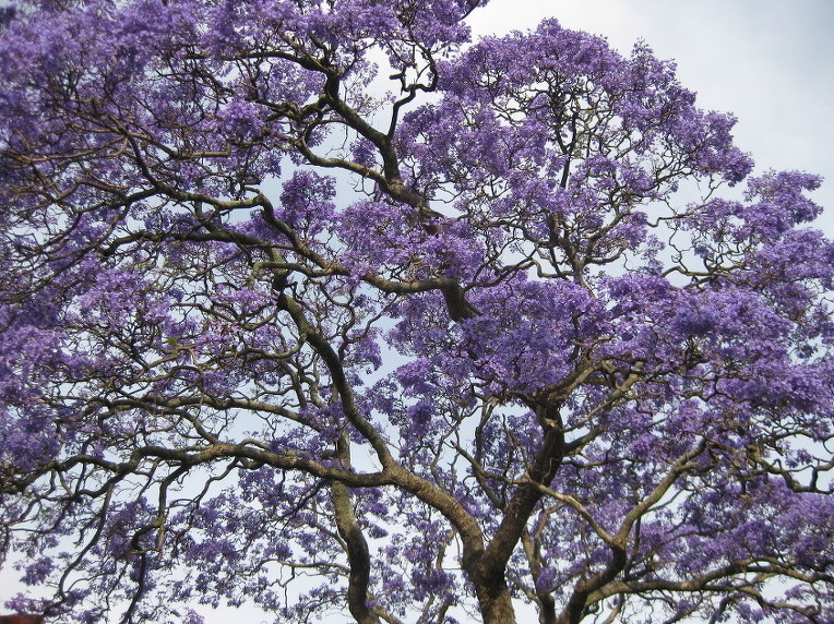 2220D24D52A50E180850D8