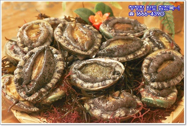 담아서 이미지