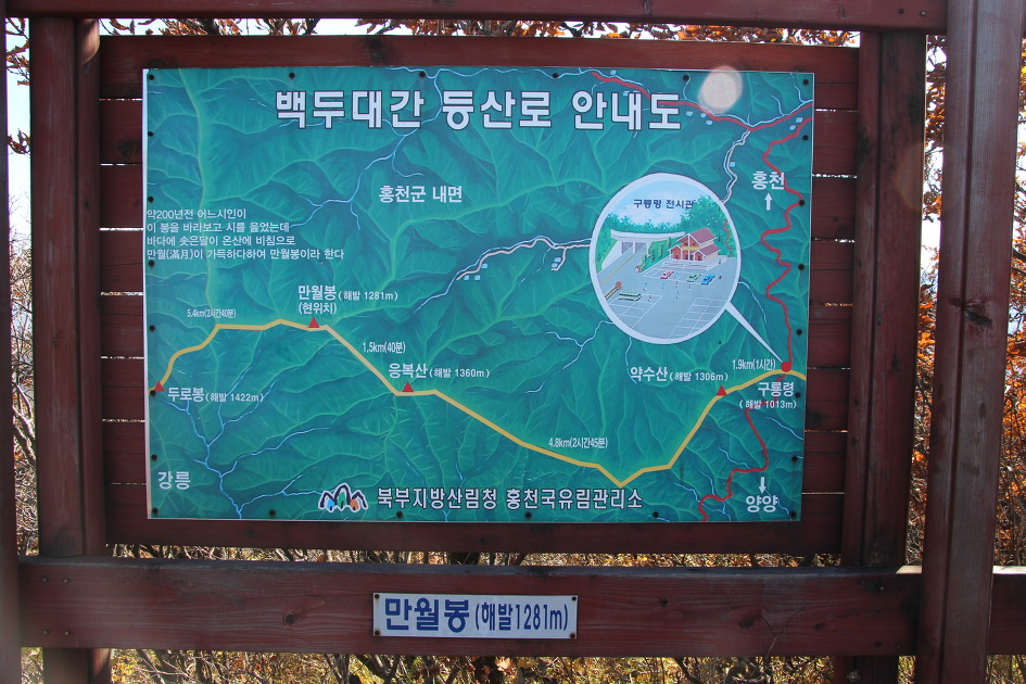홍천 응복산과 은행나무 숲의 가을 여행에서 힐링을(15.10.17)