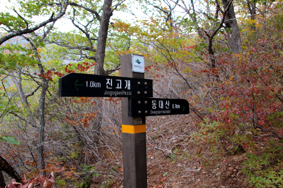 오대산 환종주(15.10.3)로 깊어가는 가을을 엿보다