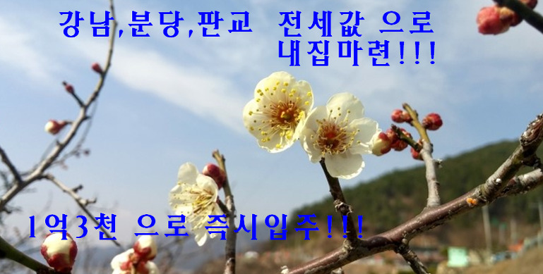 더카페신동백 이미지