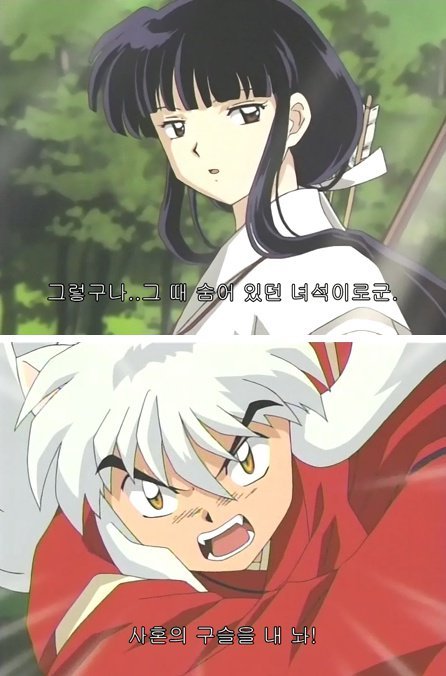 이누야샤와 금강이 서로 사랑할 수 밖에 없었던 이유 | 인스티즈