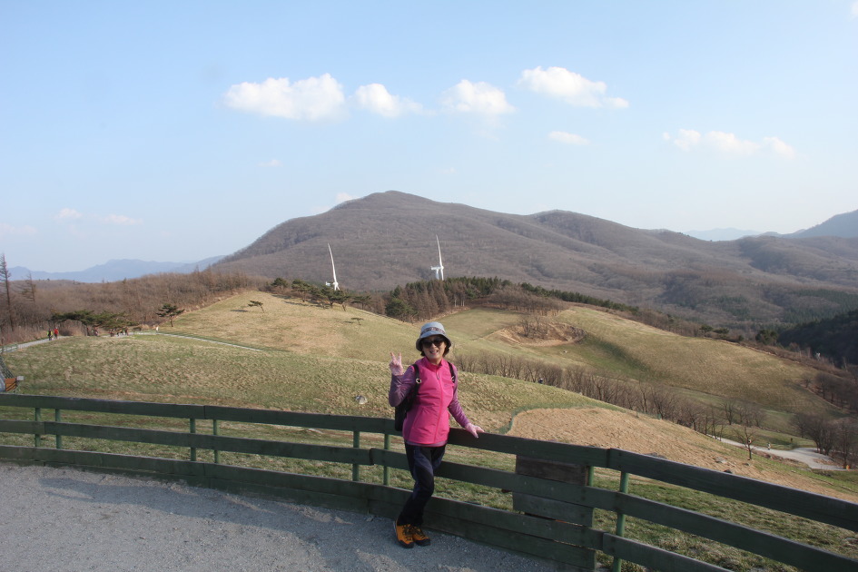 대관령 양떼목장, 대관령옛길 등~!