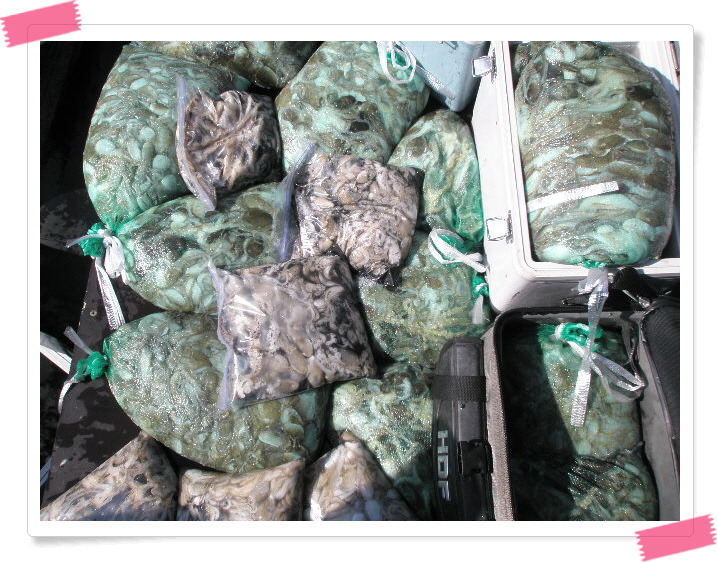 ´õºíŬ¸¯À» ÇϽøé À̹ÌÁö¸¦ ¼öÁ¤ÇÒ ¼ö ÀÖ½À´Ï´Ù