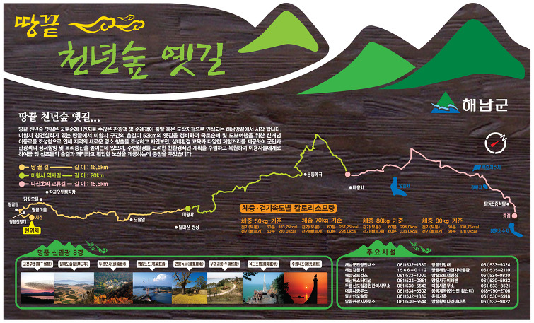 천년숲 이미지