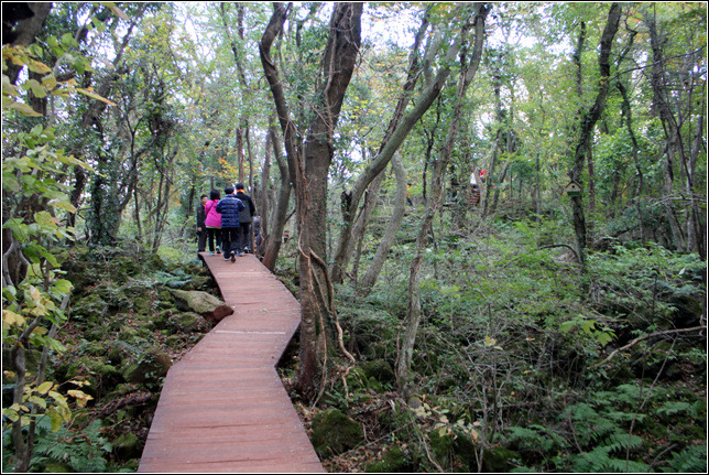 236A8E375459BE0418B7D0