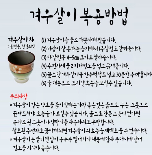 [치유의 이야기2] 신비의 항암약초 "겨우살이"의 효능 및 성분, 임상 연구에 관한 자료모음