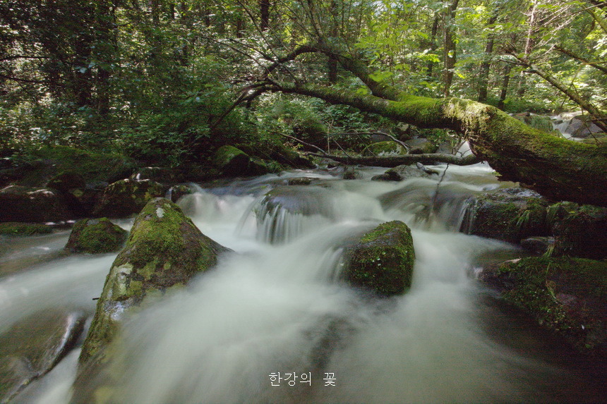 상동이끼계곡