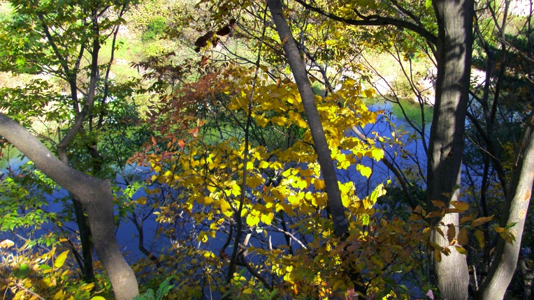 242C1B47544B8523215FFB