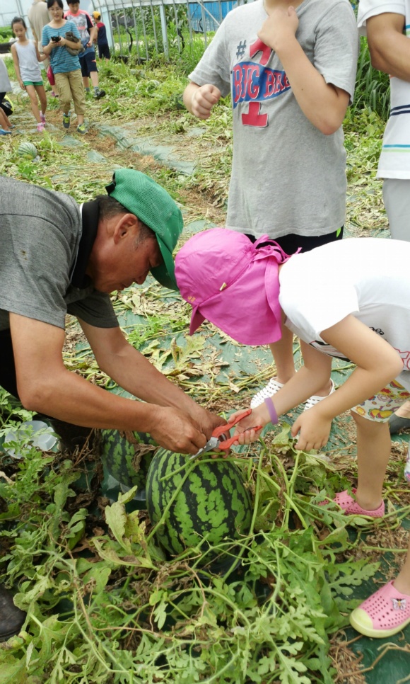 242CBC5053DDD3572BF938