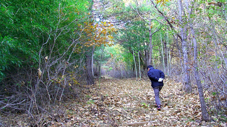 243F2C3E5467280332EACA