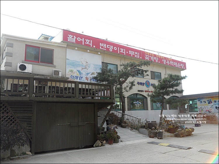 스끼다시 무한리필로 푸짐한 석모도 맛집 서해안회타운