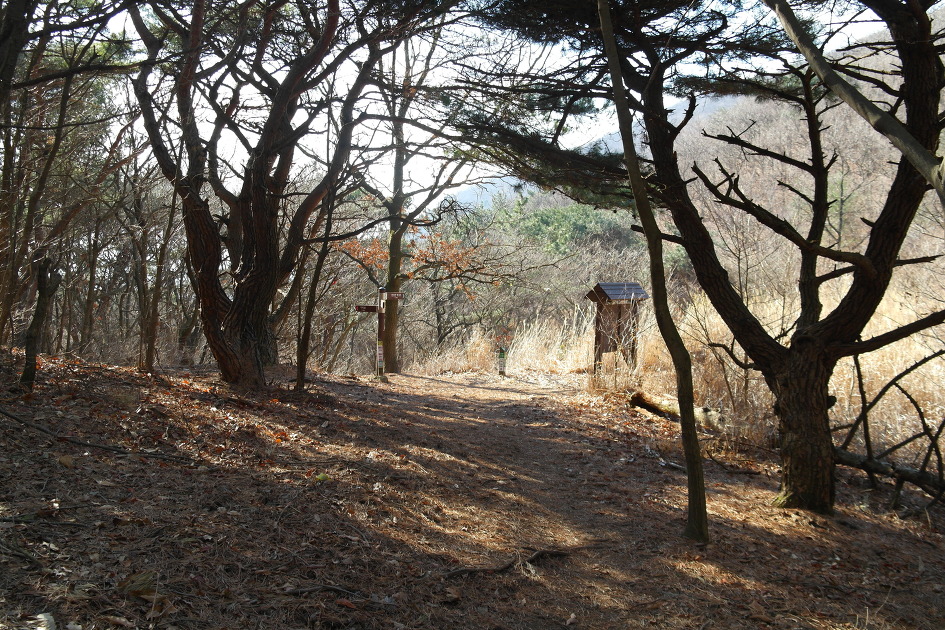 천성산(원효봉) ~ 천성산2봉(비로봉)