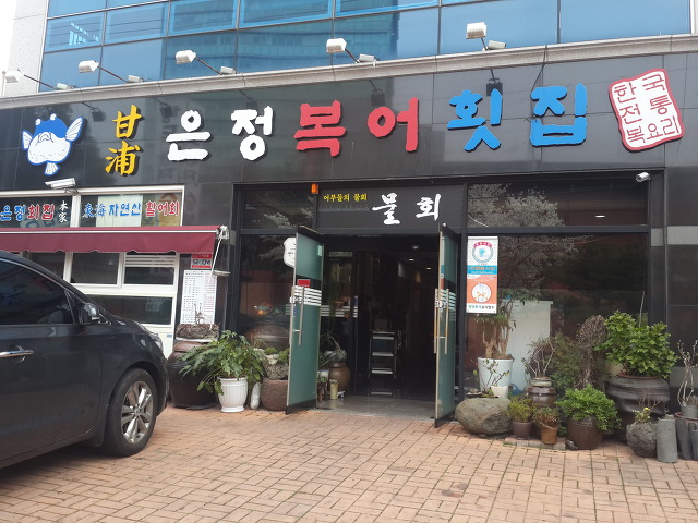 광성복어 이미지