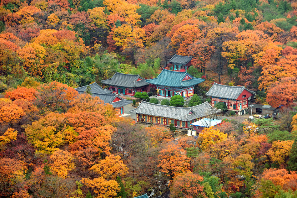 제14회 2013년 부산관광사진공모전
