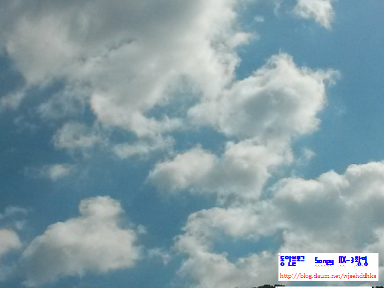 사진 텍스트 서명