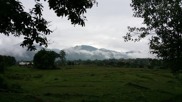 2538C13755BE029406D365
