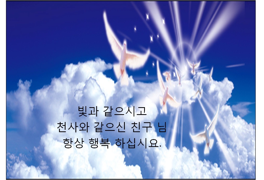 글 사진 