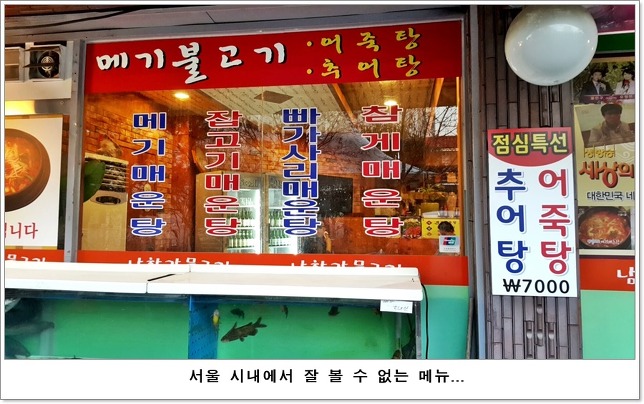 남한강물고기 이미지