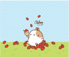 몰랑이사진 2부 